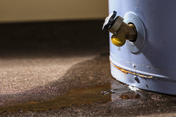 Best Water damage restoration near me  in Biola, CA