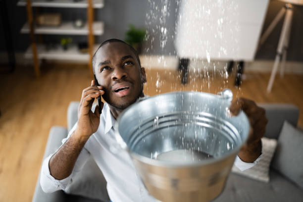 Best Water damage restoration near me  in Biola, CA