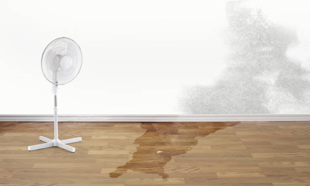Best Flood damage cleanup  in Biola, CA