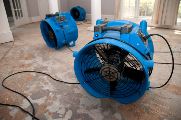 Best Ceiling water damage repair  in Biola, CA