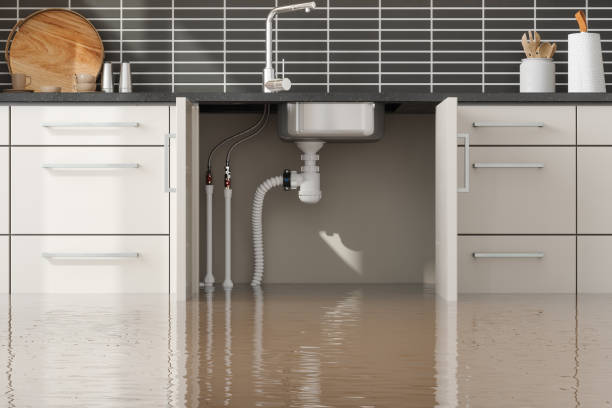 Best Water damage restoration near me  in Biola, CA