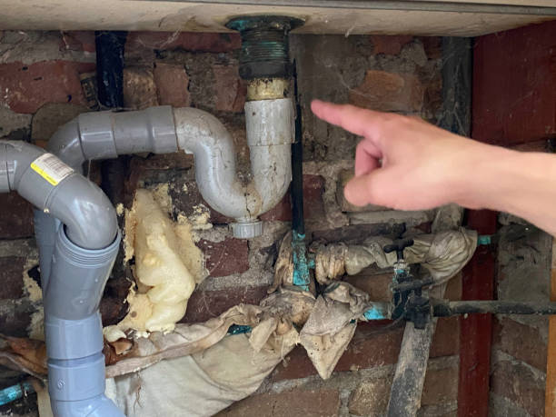 Best Commercial water damage restoration  in Biola, CA