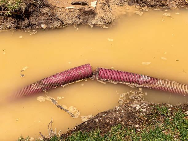 Best 24/7 water damage repair  in Biola, CA