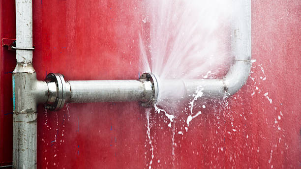  Biola, CA Water damage restoration Pros